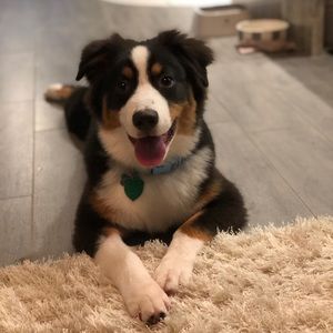 Meet your Posher, Mai